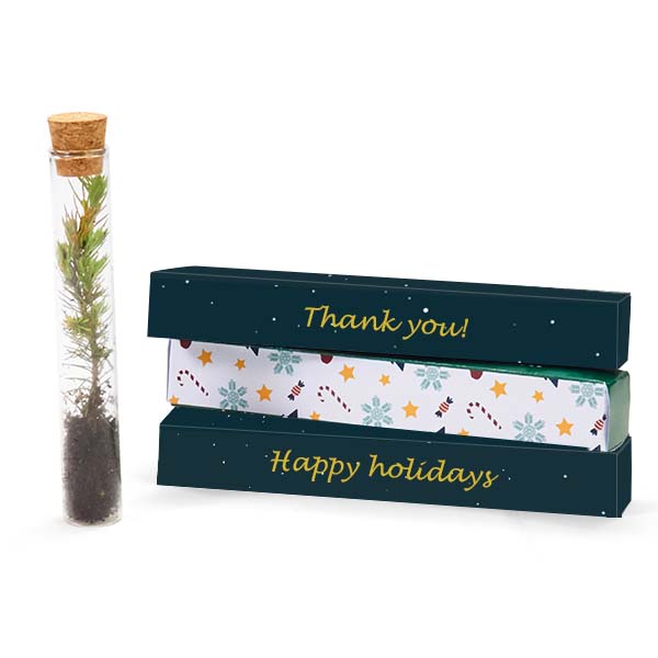 Plant gift | Eco promotional gift